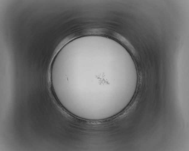 X0000112431370200908211152