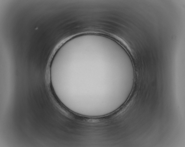 X0000112431371200908211152