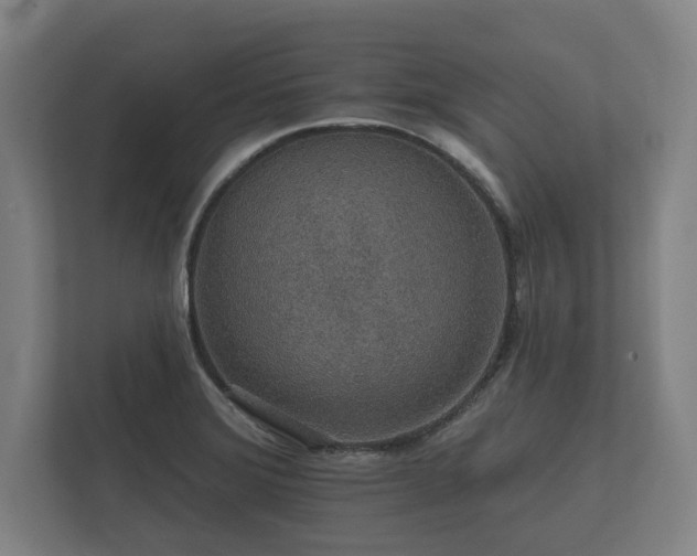 X0000112431372200908211152