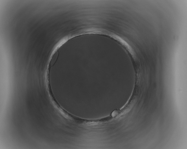 X0000112431373200908211152