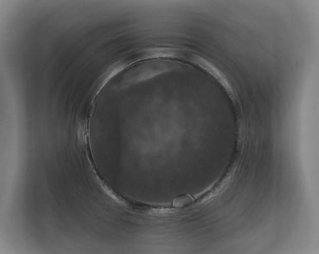 X0000112431377200908211152