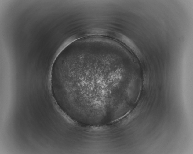 X0000112431378200908211152