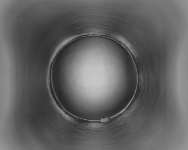 X0000112431379200908211152