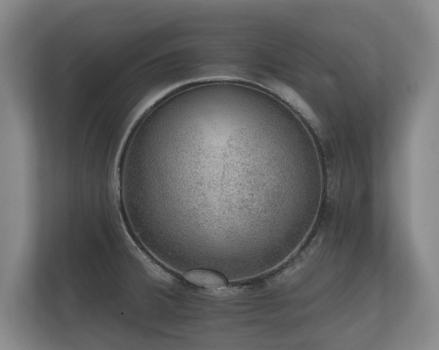X0000112431380200908211152