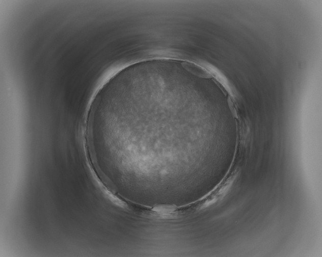 X0000112431381200908211152