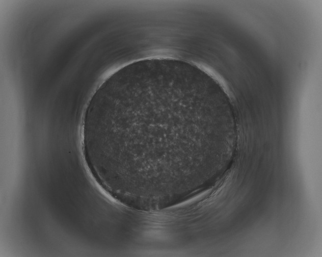 X0000112431383200908211152
