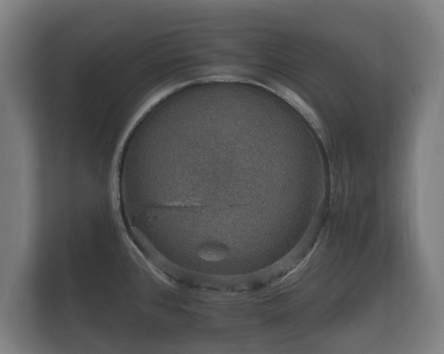 X0000112431384200908211152
