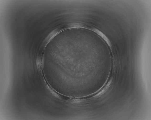 X0000112431385200908211152
