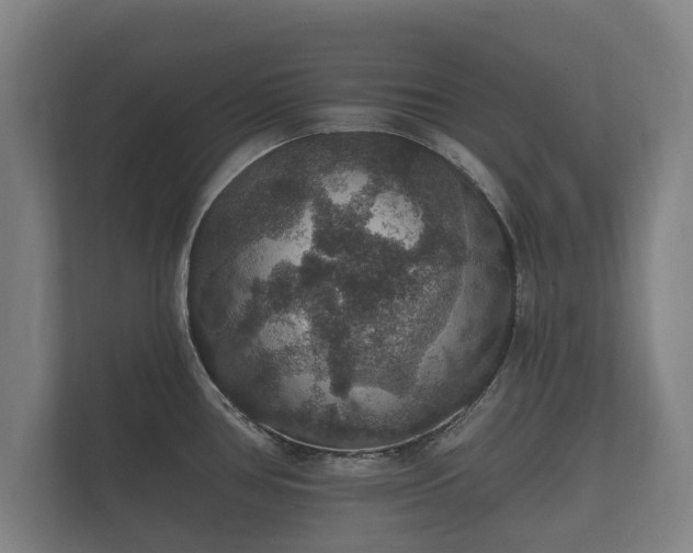 X0000112431386200908211152