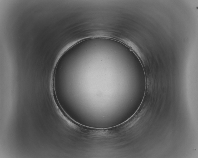 X0000112431387200908211152
