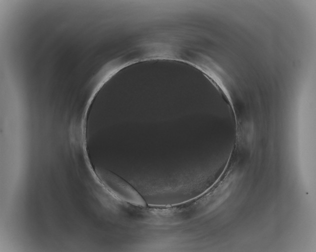X0000112431389200908211152