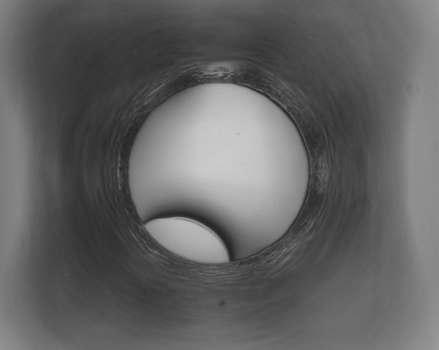 X0000112431394200908211151