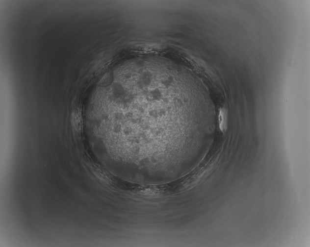 X0000112431395200908211151
