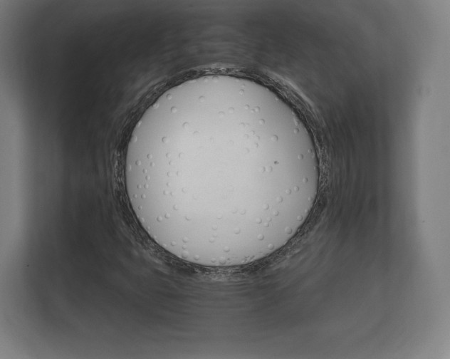 X0000112431399200908211151