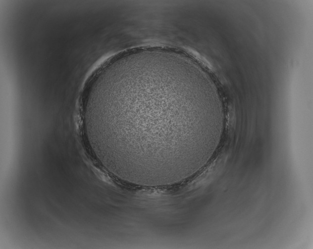 X0000112431400200908211151