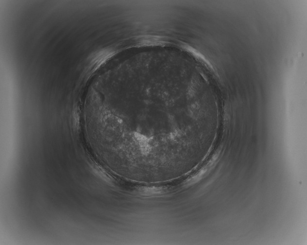 X0000112431401200908211151