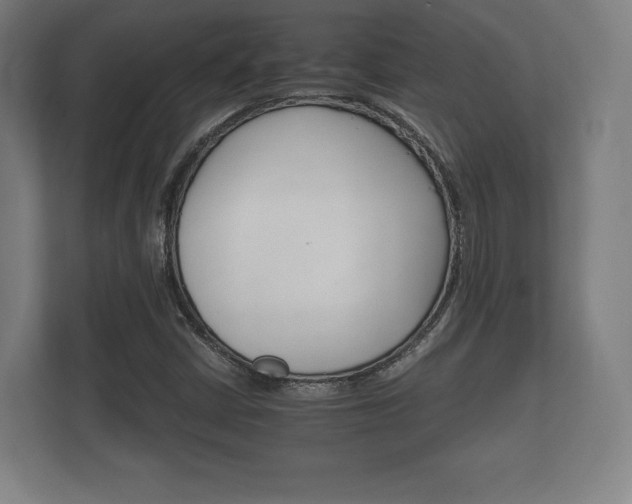 X0000112431402200908211151