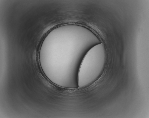 X0000112431404200908211151