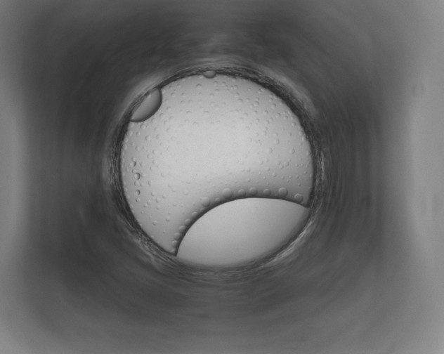 X0000112431405200908211151