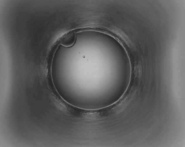 X0000112431406200908211151