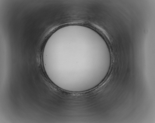 X0000112431407200908211151