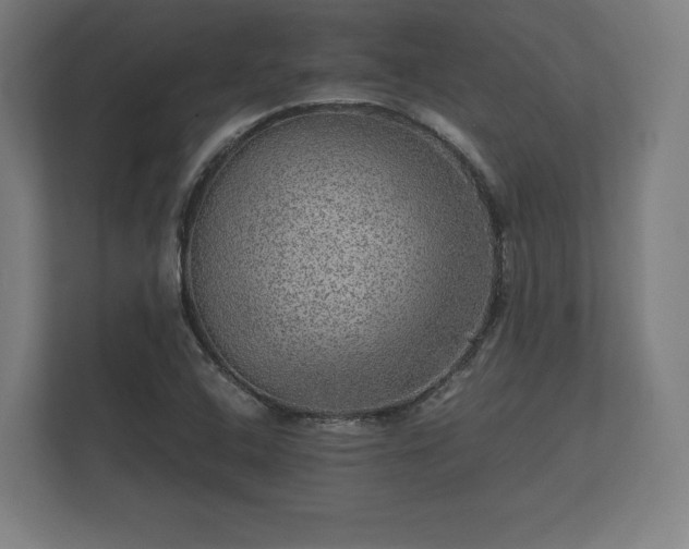 X0000112431408200908211151