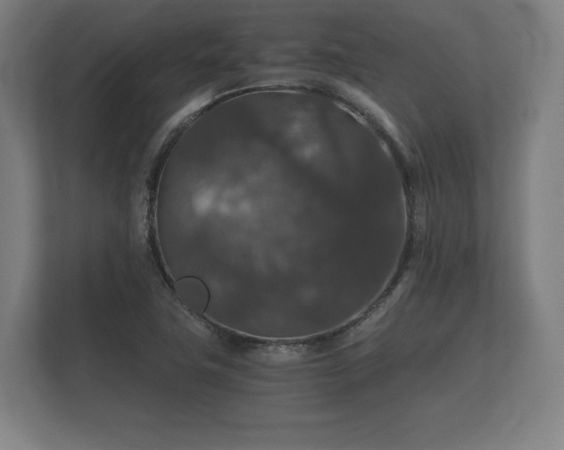X0000112431411200908211151