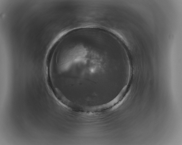 X0000112431414200908211151