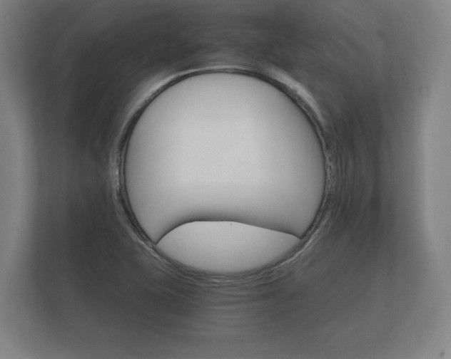 X0000112431415200908211151