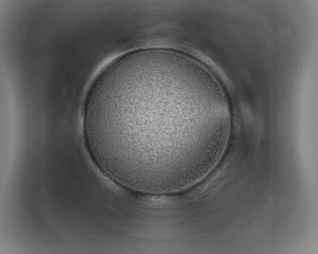 X0000112431416200908211151