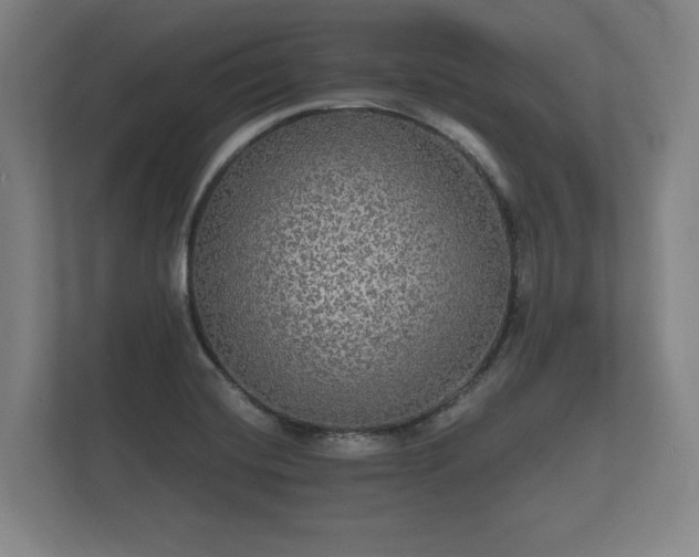 X0000112431420200908211151