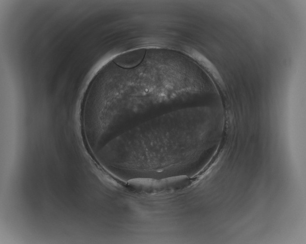 X0000112431427200908211151