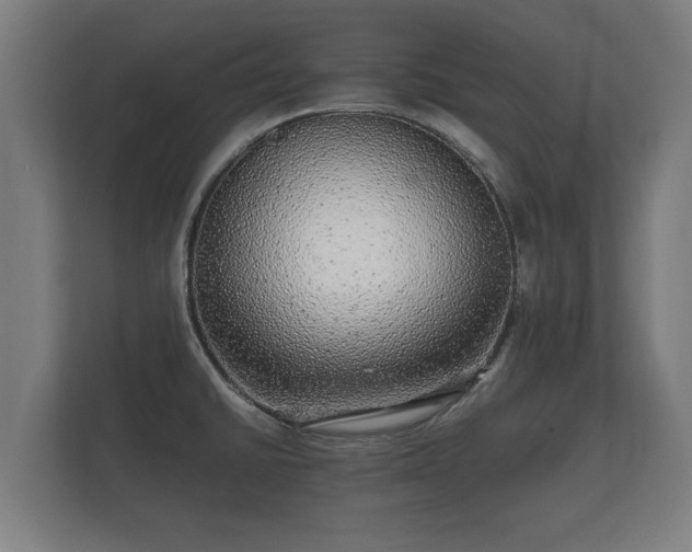 X0000112431430200908211151