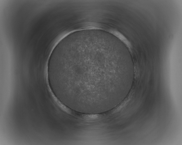 X0000112431431200908211151