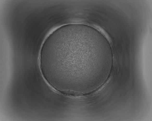 X0000112431432200908211151