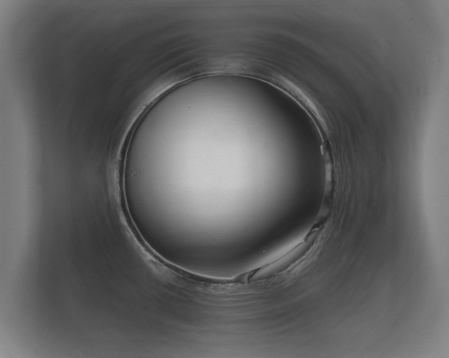 X0000112431434200908211151