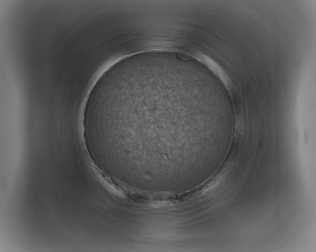 X0000112431435200908211151