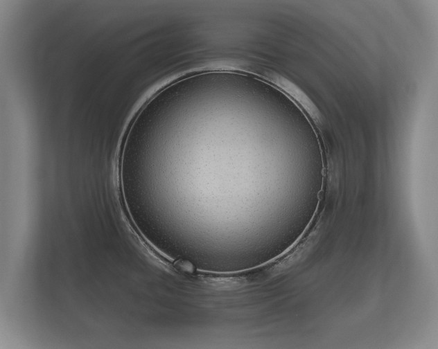 X0000112431436200908211151