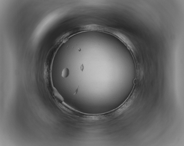 X0000112431438200908211151