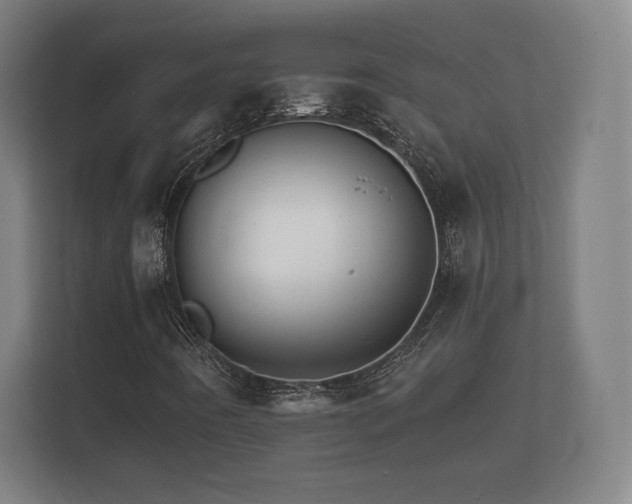X0000112431442200908211151