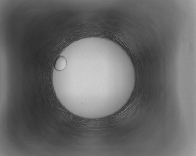 X0000112431443200908211151