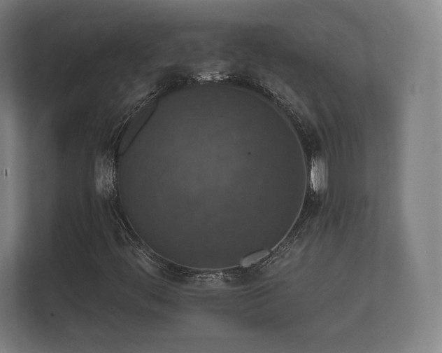 X0000112431444200908211151