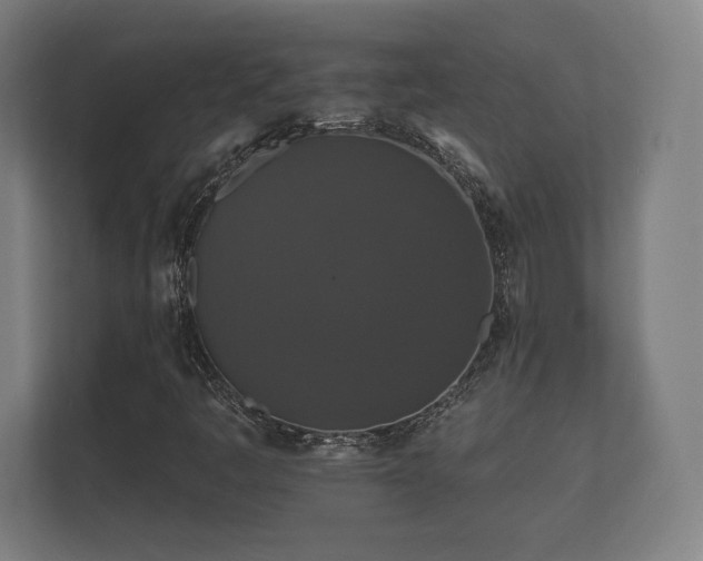 X0000112431445200908211151
