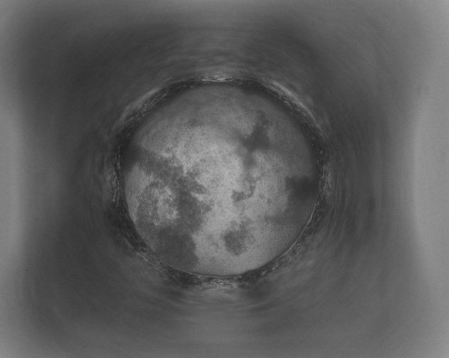 X0000112431446200908211151