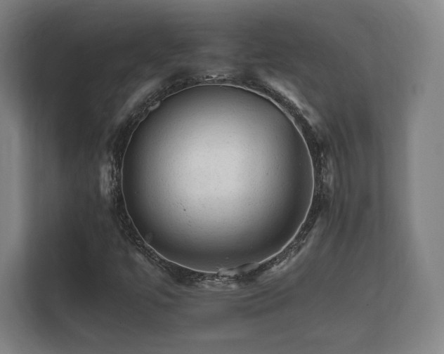 X0000112431447200908211151