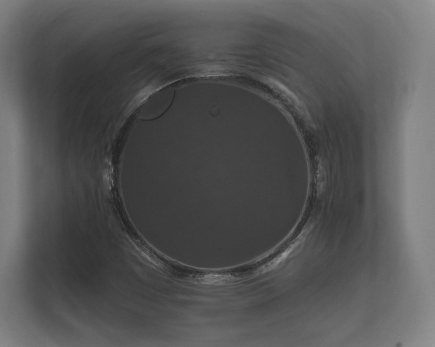 X0000112431449200908211151