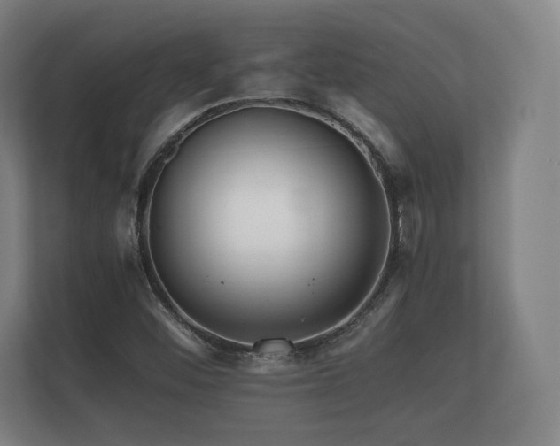X0000112431452200908211151