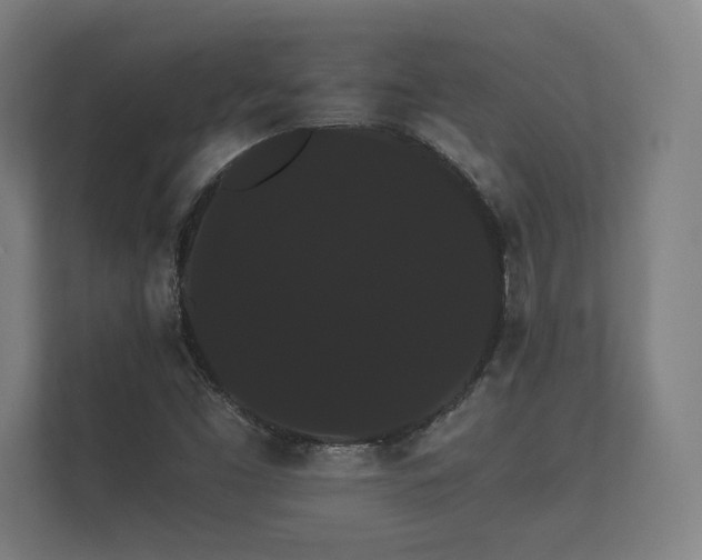X0000112431453200908211151