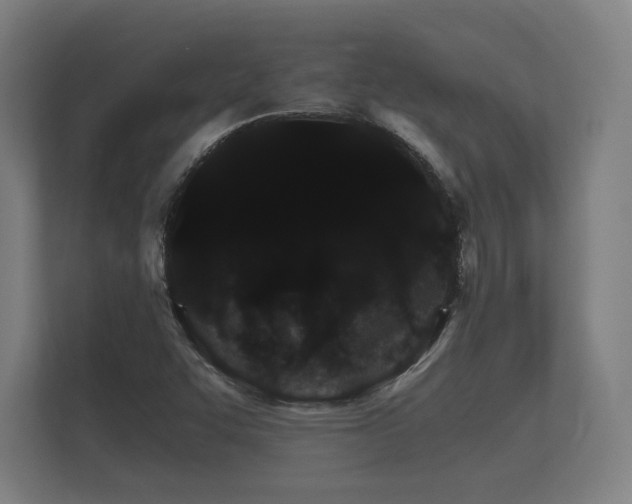 X0000112431455200908211151