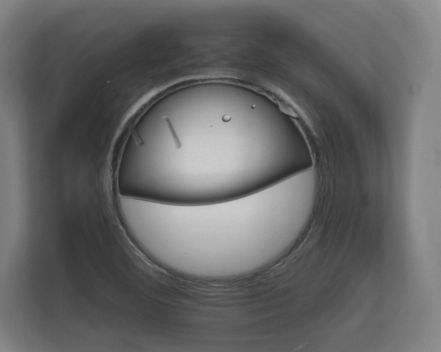 X0000112431460200908211151